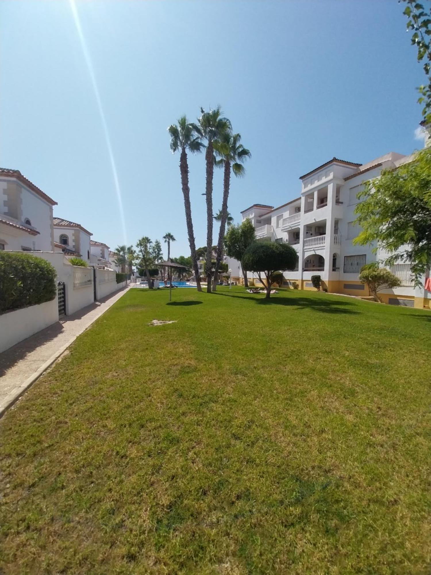 Charming Apartment In Front Of Villamartin Golf And Plaza Extérieur photo